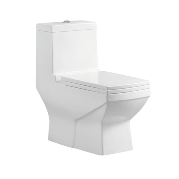 professional manufacturer of intelligent toilet