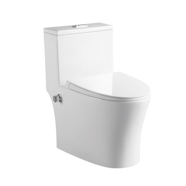 professional manufacturer of intelligent toilet