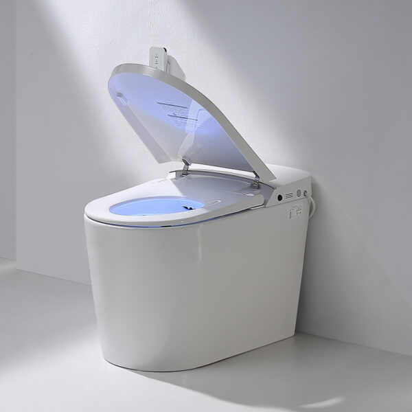 Best Smart Bidet Toilet Seat