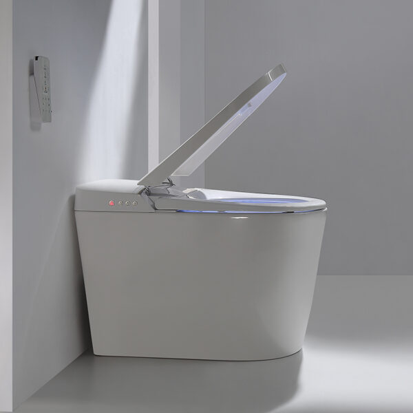 Modern bathroom smart toilet